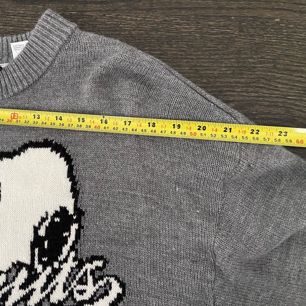 H&M Gray Snoopy Peanuts Knit Sweater - Picture 12 of 13